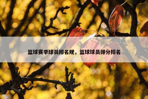 篮球赛季球员排名规，篮球球员得分排名