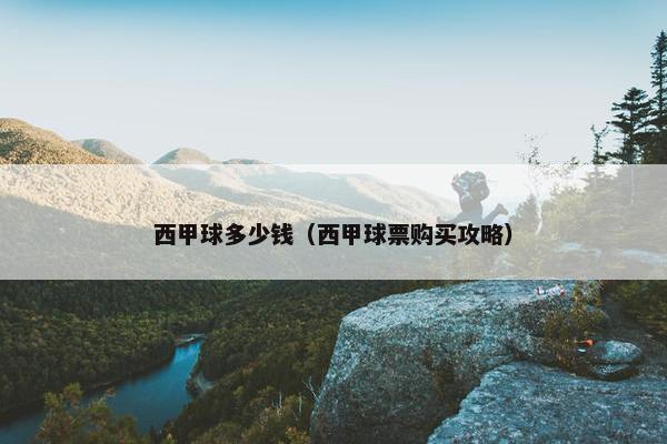西甲球多少钱（西甲球票购买攻略）
