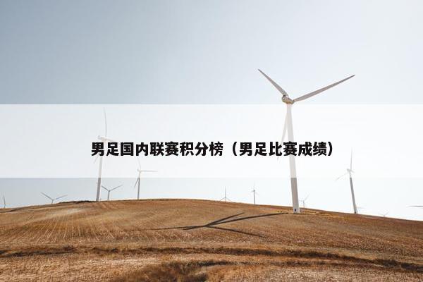 男足国内联赛积分榜（男足比赛成绩）