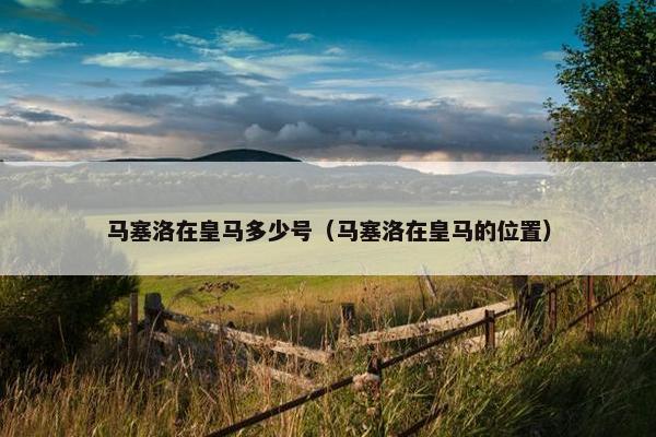 马塞洛在皇马多少号（马塞洛在皇马的位置）
