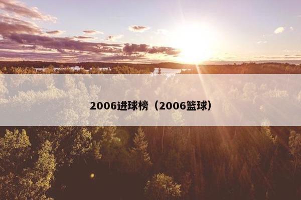 2006进球榜（2006篮球）