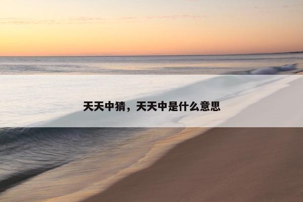 天天中猜，天天中是什么意思
