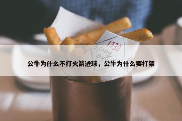 公牛为什么不打火箭进球，公牛为什么要打架