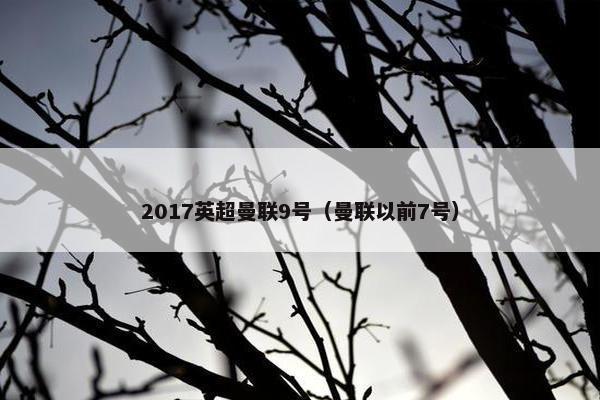 2017英超曼联9号（曼联以前7号）