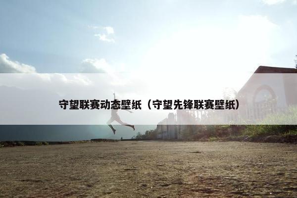 守望联赛动态壁纸（守望先锋联赛壁纸）