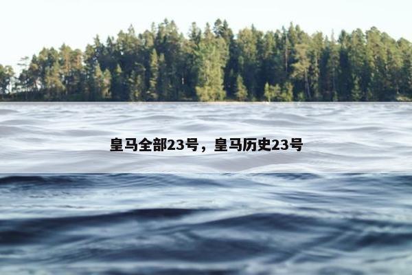 皇马全部23号，皇马历史23号