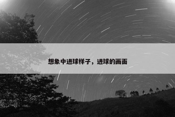 想象中进球样子，进球的画面