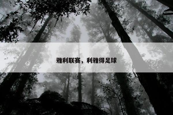 雅利联赛，利雅得足球