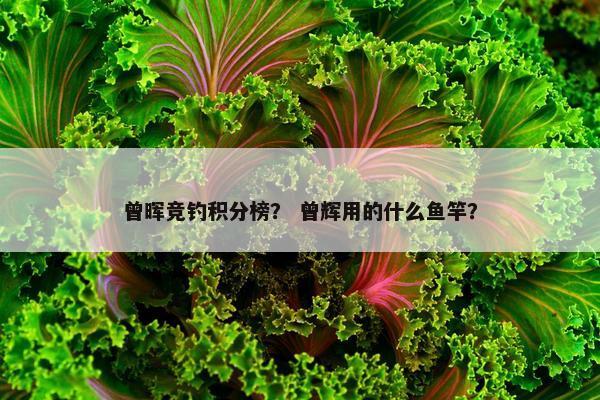 曾晖竞钓积分榜？ 曾辉用的什么鱼竿？