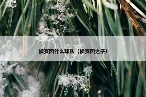侯赛因什么球队（侯赛因之子）