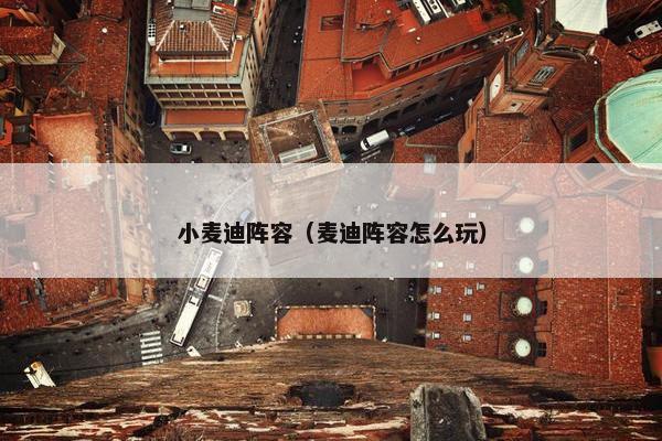 小麦迪阵容（麦迪阵容怎么玩）