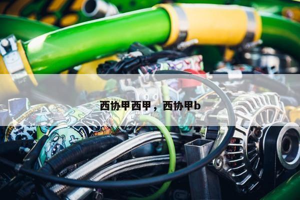 西协甲西甲，西协甲b