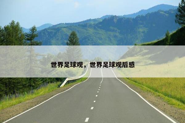世界足球观，世界足球观后感