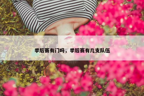 季后赛有门吗，季后赛有几支队伍