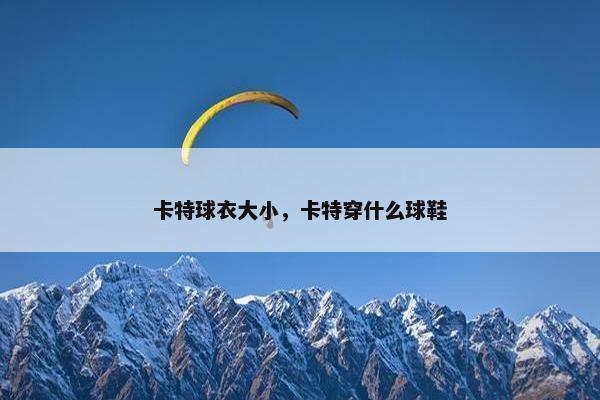 卡特球衣大小，卡特穿什么球鞋