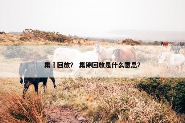 集渼回放？ 集锦回放是什么意思？