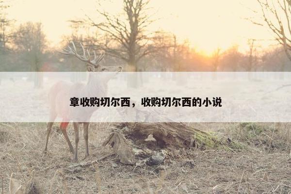 章收购切尔西，收购切尔西的小说