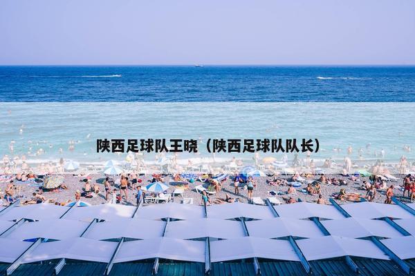 陕西足球队王晓（陕西足球队队长）