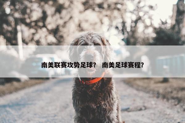 南美联赛攻势足球？ 南美足球赛程？