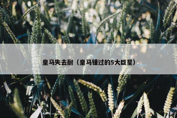 皇马失去耐（皇马错过的5大巨星）