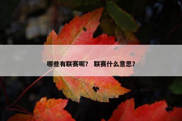 哪些有联赛呢？ 联赛什么意思？