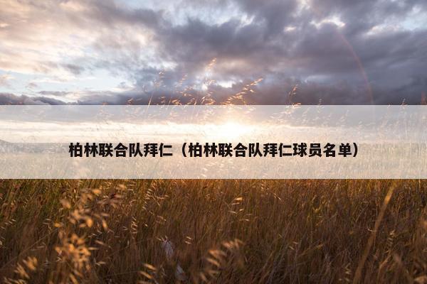柏林联合队拜仁（柏林联合队拜仁球员名单）