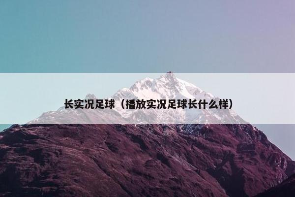 长实况足球（播放实况足球长什么样）