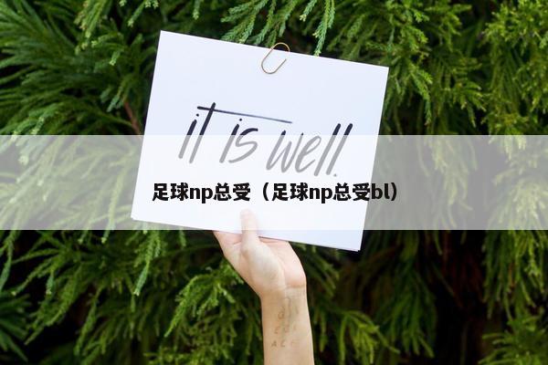 足球np总受（足球np总受bl）