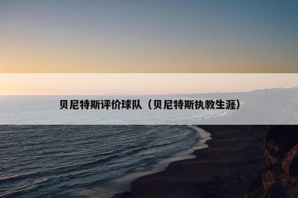 贝尼特斯评价球队（贝尼特斯执教生涯）