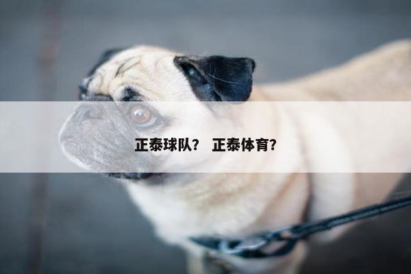 正泰球队？ 正泰体育？