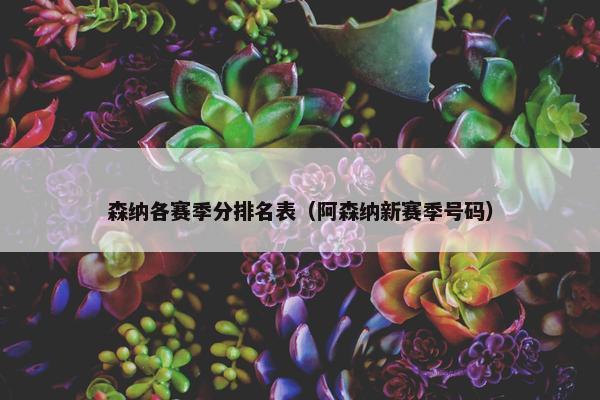 森纳各赛季分排名表（阿森纳新赛季号码）