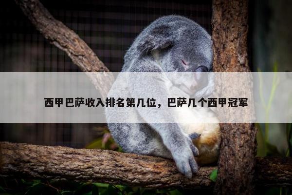 西甲巴萨收入排名第几位，巴萨几个西甲冠军