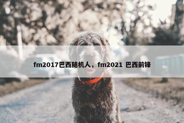 fm2017巴西随机人，fm2021 巴西前锋