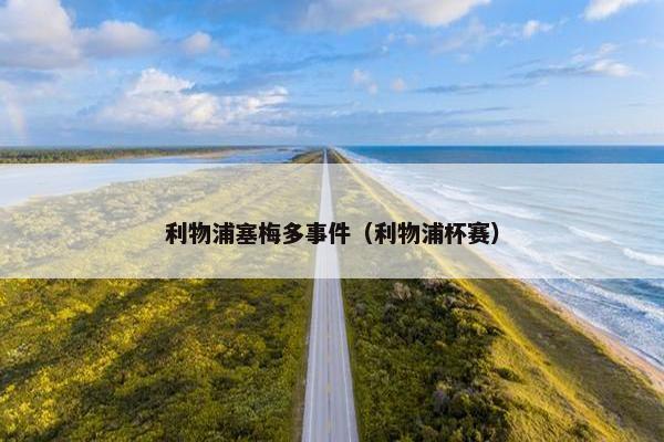 利物浦塞梅多事件（利物浦杯赛）