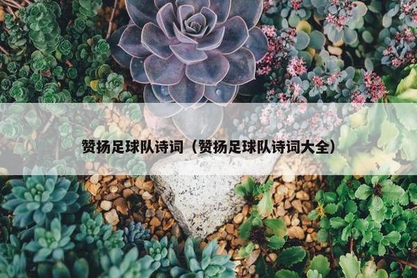 赞扬足球队诗词（赞扬足球队诗词大全）