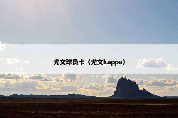 尤文球员卡（尤文kappa）