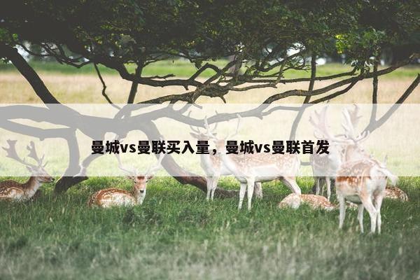 曼城vs曼联买入量，曼城vs曼联首发
