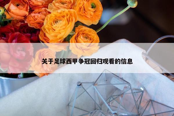 关于足球西甲争冠回归观看的信息