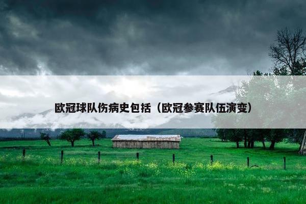 欧冠球队伤病史包括（欧冠参赛队伍演变）