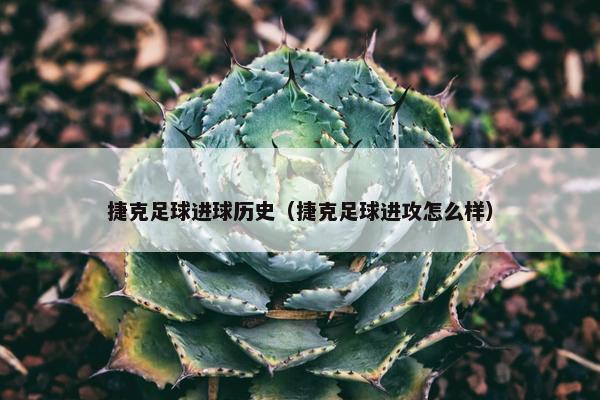 捷克足球进球历史（捷克足球进攻怎么样）