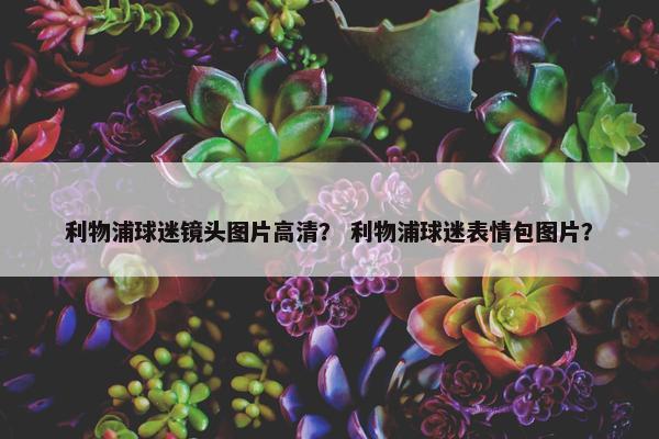利物浦球迷镜头图片高清？ 利物浦球迷表情包图片？