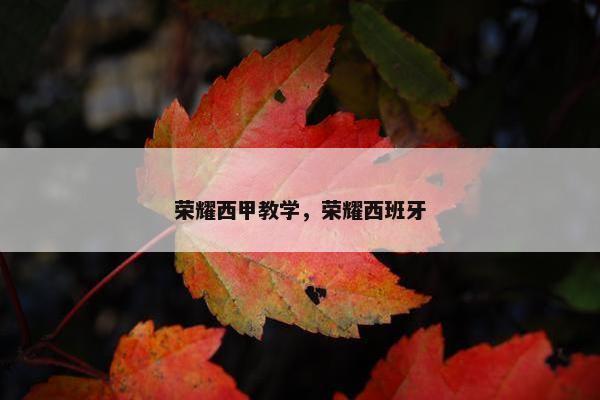 荣耀西甲教学，荣耀西班牙