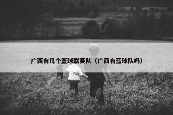 广西有几个篮球联赛队（广西有蓝球队吗）