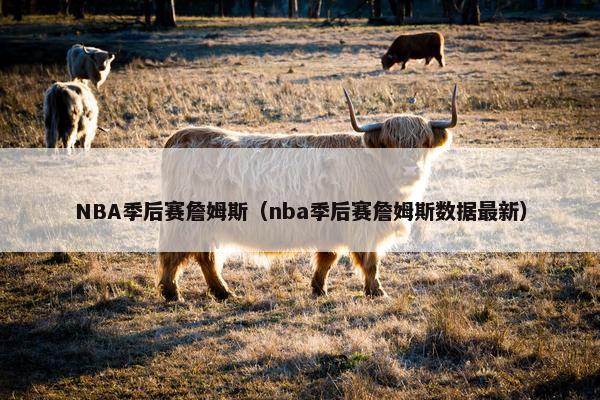NBA季后赛詹姆斯（nba季后赛詹姆斯数据最新）