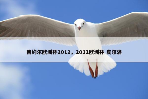 普约尔欧洲杯2012，2012欧洲杯 皮尔洛