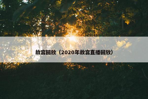 故宫回放（2020年故宫直播回放）