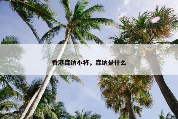 香港森纳小将，森纳是什么