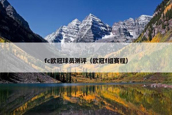 fc欧冠球员测评（欧冠f组赛程）