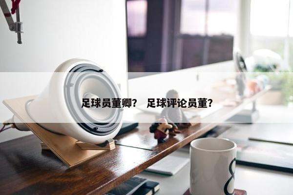 足球员董卿？ 足球评论员董？