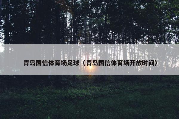 青岛国信体育场足球（青岛国信体育场开放时间）